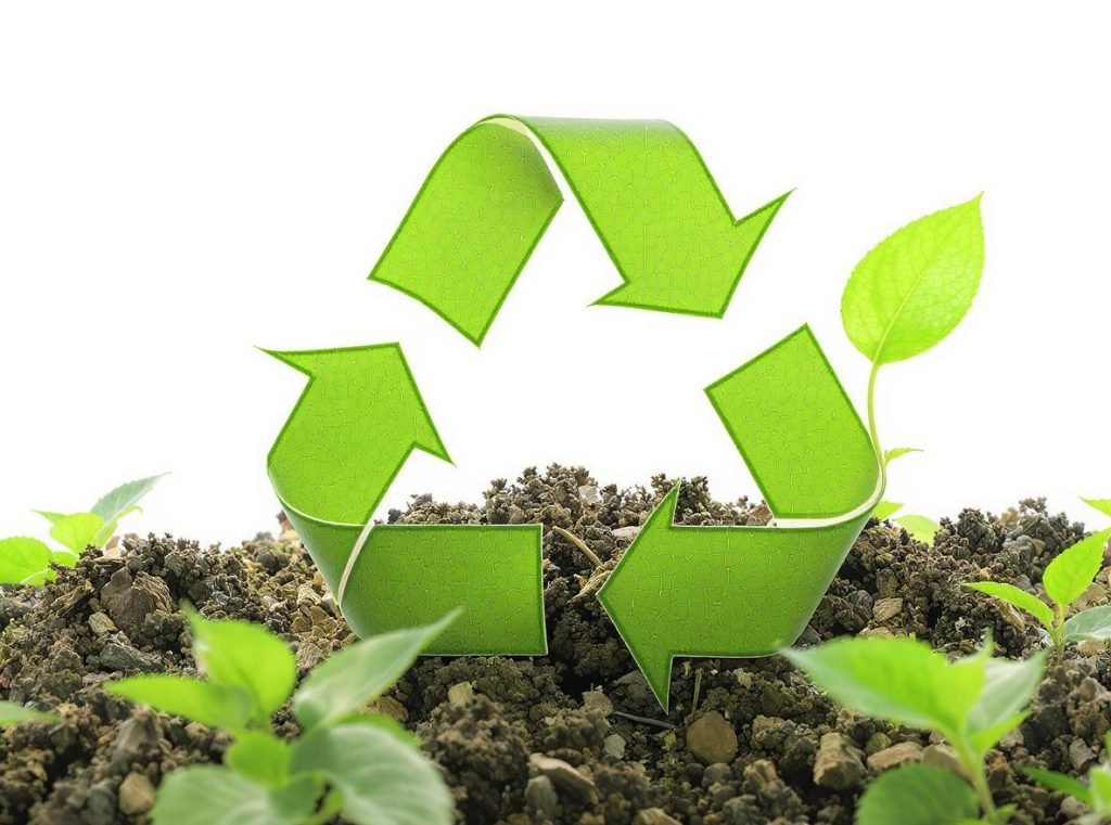 Environmental benefits of molded pulp packaging showing biodegradability and sustainability